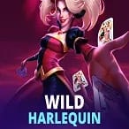 Wild Harlequin screenshot